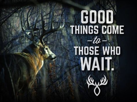 Good things... Deer Hunting Quotes, Deer Hunting Humor, Whitetail Deer Hunting, Hunting Quotes, Big Deer, Deer Hunting Tips, Deer Pictures, Deer Season, Hunting Humor