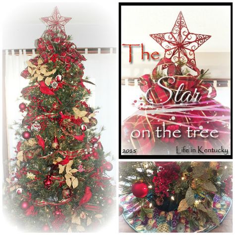 JBigg's Little Pieces: The Star on the Tree plus ribbons and bows Star And Bow Tree Topper, Christmas Tree Star Topper Ideas, Cozy Little House, Christmas Tree Star Topper, Jesus Was Born, Ribbon Tree, Savvy Southern Style, Tree Topper Bow, Christmas Tree Star