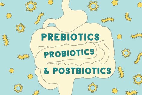 Pre Pro Post Biotics, Post Biotics, Pro Biotics, Prebiotic Foods, Probiotic Benefits, Gut Health Recipes, Urinary Health, Bedtime Ritual, Prebiotics And Probiotics