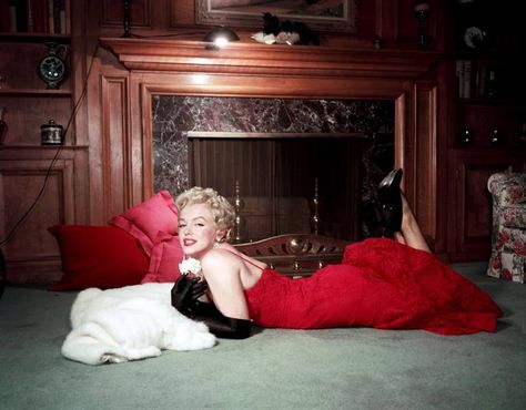 Marilyn in red lace dress and black leather opera gloves photo by Gene Lester, 1956 Red Lace Gown, Rare Marilyn Monroe, Earl Moran, White Carnation, Candle In The Wind, Gentlemen Prefer Blondes, Marilyn Monroe Photos, Marlene Dietrich, Norma Jean