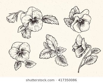 Violet Tattoo Flower, Pansy Tattoo, Violet Flower Tattoos, Flower Black And White, Violet Tattoo, 16 Tattoo, Pansy Flowers, Best Photoshop Actions, Flowers Vector