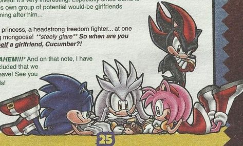 Sonic Archie Comics, Archie Sonic, Silver The Hedgehog, Sonic And Amy, Sonic Funny, Sonic Fan Characters, Sonic 3, Sonic Franchise, Blue Hedgehog