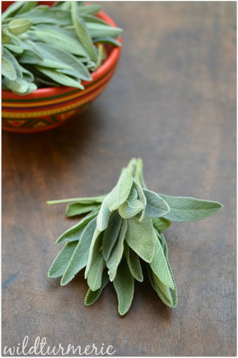 10 Top Medicinal Uses & Side Effects Of Sage (Salvia Officinalis) | Salvia Bungalow Garden, Dry Sage, Growing Sage, Sage Herb, Natural Medicine Cabinet, Sage Tea, Lip Scrub Homemade, Salvia Officinalis, Sage Plant