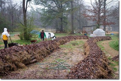 Hugelkultur: Composting Whole Trees With Ease - The Permaculture Research Institute Composting Methods, Indoor Aquaponics, Veggie Gardens, Permaculture Gardening, Permaculture Design, Farm Ideas, Soil Improvement, Garden Landscape Design, Research Institute