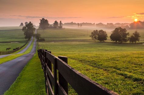 ***Rural sunset (Kentucky) by Rick Scalf Future Farms, Horse Farm, Horse Ranch, Country Landscaping, Country Scenes, Horse Barns, Back Road, Horse Farms, Country Farm