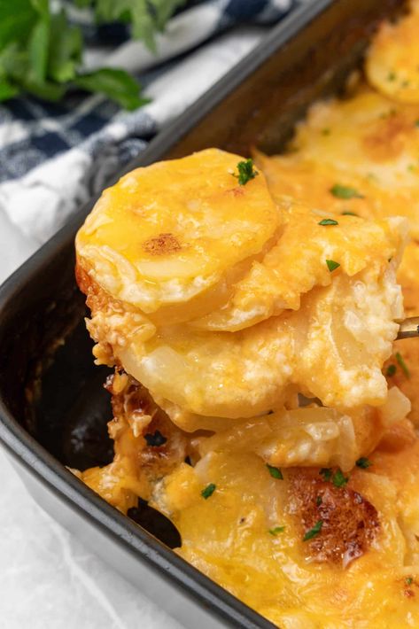 Scalloped Au Gratin Potatoes, Potato Cheese Casserole, Scalloped Potatoes Au Gratin, Cheese Potato Casserole, Easy Cheesy Scalloped Potatoes, Potato Au Gratin, Best Scalloped Potatoes, Cheesy Scalloped Potatoes, Potato Sandwich