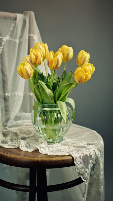 Tulip Still Life Pictures, Still Life Photos, Yellow Tulips, Still Life Drawing, The Photograph, Beautiful Flowers Pictures, Flowers Nature, Beautiful Blooms, Still Life Painting