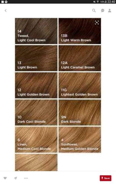 Carrot Brown Hair, Streax Hair Color Highlights, Hair Colors For Skin Tones Charts, Types Of Brown Hair Color Shades, Light Brown And Blonde Highlights, Types Of Blonde Hair Shades, Butterscotch Hair, Hairstyle Tools, Blonde Light Brown Hair