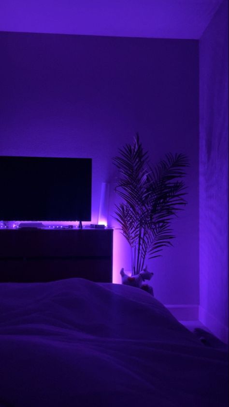 dorm room inspo, purple lighting, dorm lighting, dorm plants, college dorm, purple dorm lighting, college room aesthetic, purple aesthetic, LED lights, tv room, girls college dorm Purple Minimalist Bedroom, Purple Lights Room, Lights Behind Tv, Dorm Plants, Purple Lit Bedroom, Purple Led Lights Aesthetic, Purple Dorm, Purple Led Light Aesthetic, Dorm Lighting