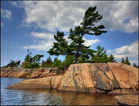 Nature Landscape Painting, Salt Water Fishing, Georgian Bay, Boreal Forest, Painting Nature, Canadian Art, Nature Landscape, Painting Photos, Pine Tree