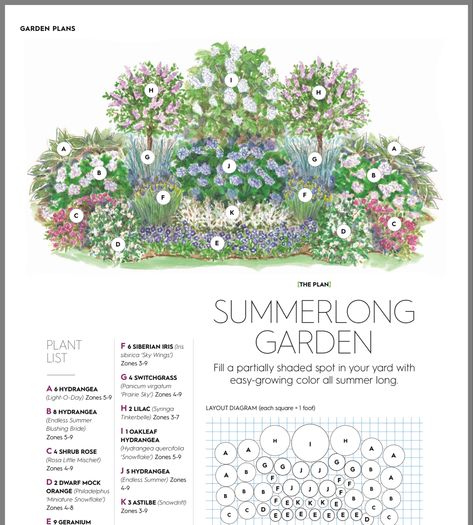 Cottage Shade Garden, Hydrangea Garden Bed, Shade Garden Plans Layout, English Cottage Garden Design Layout, Cottage Garden Layout, Shade Garden Design Layout, Mcm Landscaping, Cottage Garden Design Layout, Modern Cottage Garden