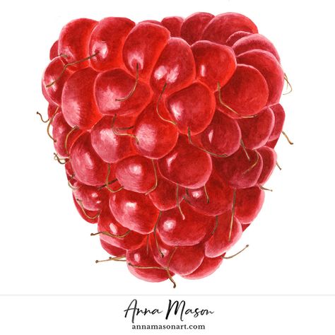 Raspberry - Anna Mason Art Fruit Drawing, Anna Mason, Fruits Drawing, Afrique Art, Watercolor Food, Watercolor Fruit, Illustration Botanique, Kunst Inspiration, Fruit Painting