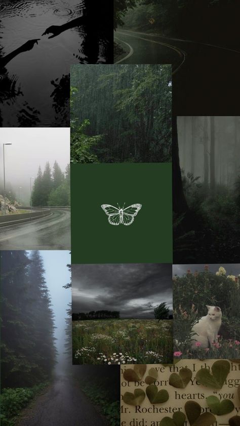 green rain misty wallpaper Misty Wallpaper, Dark Green Academia, Green Aesthetic Wallpaper, Dark Forest Aesthetic, Rain Aesthetic, Sage Green Wallpaper, Rain Wallpapers, Foggy Forest, Indie Room Decor