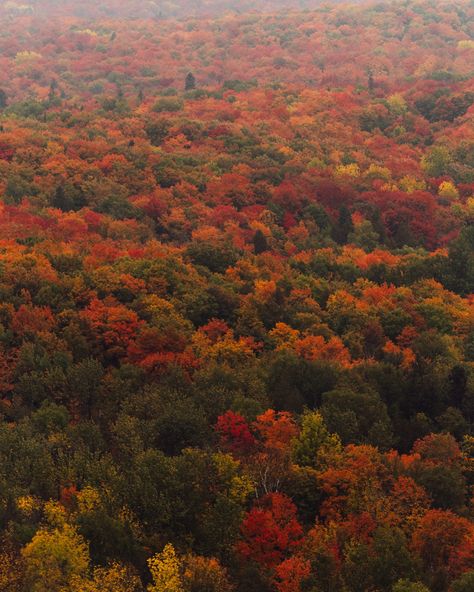 Favorite moments from last fall 🫶 Minnesota Landscape, Minnesota Landscaping, Minnesota, In This Moment