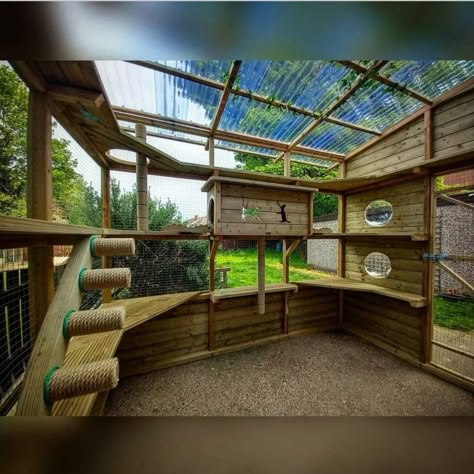 Catio Ideas, Cat Enrichment, Cat Bedroom, Cat Area, Cat Fence, Cat Enclosures, Cat Patio, Outdoor Cat Enclosure, Cat Wall Furniture