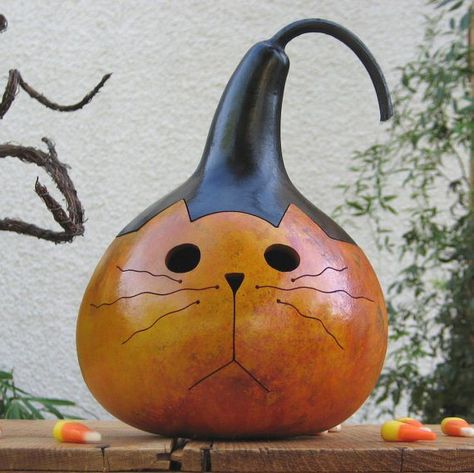 Cat Gourd, Gourds Diy, Veselý Halloween, Gourd Birdhouses, Fall Gourds, Halloween Gourds, Gorgeous Gourds, Pumpkin Eater, Gourds Birdhouse