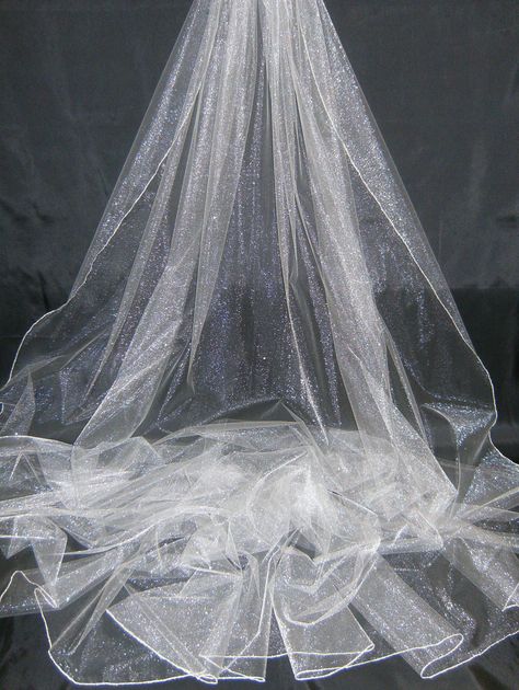 Wedding Veils Long, Veils Bridal Diy, Bellas Wedding, Bella Wedding, Wedding Reception Backdrop, Wedding Ring For Him, Cathedral Length Veil, Wedding Bridal Veils, Wedding Veil Accessories