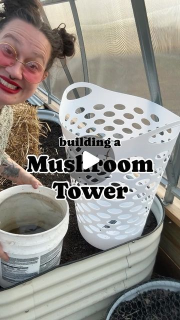 Tonya Snyder on Instagram: "🍄 Wanna hear a mushroom growing hack?  • Let’s take my mushroom grow block from @lushanddew_official and build a higher yielding mushroom tower with it instead! • You can even wait until after a few mushroom harvests from your oyster mushroom grow kit, first, before taking it outdoors for its new life, if you want! • You can mix the blocks with woody yard waste and/or layers of straw to grow even more tasty mushrooms! • I’ve started towers in mid-summer where temperatures exceeded 95°F for several days, and the first flush of mushrooms came after 40 days.  • Here in Missouri the best time, though, to start a mushroom tower is spring or early fall when there are mild temperatures and plenty of rain. • And that’s what we are doing today!  • Though I’m contemplati How To Grow Porcini Mushrooms, Grow Mushrooms At Home From Scraps, Growing Portabella Mushrooms At Home, Button Mushrooms Growing, Outdoor Mushroom Garden, Grow Oyster Mushrooms At Home, Oyster Mushrooms Growing, Grow Mushrooms Indoors, How To Grow Oyster Mushrooms