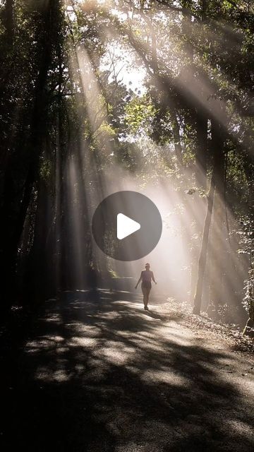 Meg Soutar on Instagram: "So enchanting #lamingtonnationalpark #oriellysrainforestretreat #hiking #queensland #brisbane #womenwhohike #optoutside #rainforest #australia #qldparks" Rainforest Australia, December 1, Queensland, Brisbane, Enchanted, Hiking, Australia, On Instagram, Instagram