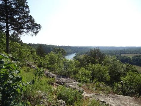 Lakeside Forest Wilderness Area Add to trip Fall Creek Road, 2 blocks south of Highway 76, near Dixie Stampede, entrance on left., Branson, MO Branson Missouri Vacation, Dixie Stampede, Missouri Vacation, Nice Scenery, Branson Vacation, Jet Skiing, Fall Creek, Branson Missouri, Branson Mo