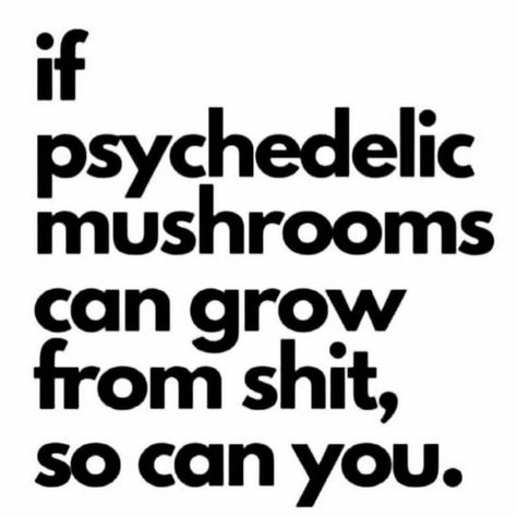 Mushroom Quotes, Funny Day Quotes, Keep Growing, Strong Quotes, Love Yourself Quotes, Believe In Yourself, Spirit Guides, Fact Quotes, Mood Pics