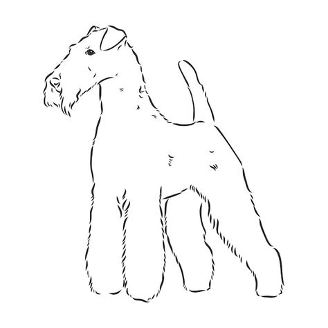 Airedale terrier dog. hand drawn. vector... | Premium Vector #Freepik #vector #dog-head #dog-face #black-dog #white-dog Doodle Bug, Dog White, Welsh Terrier, Hand Drawn Vector Illustrations, Airedale Terrier, White Dog, Psd Icon, Hand Drawn Vector, Dog Face