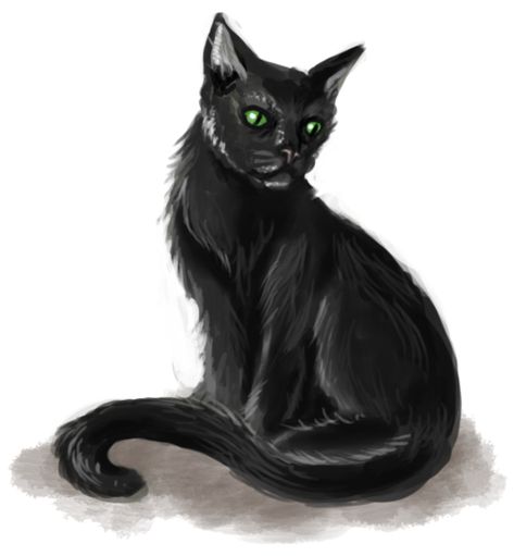 Dnd Animals, Wild Shape, Black Cat Art, Cat Character, Dnd Art, Fantasy Rpg, Dnd Characters, Roleplaying Game, Cat Art