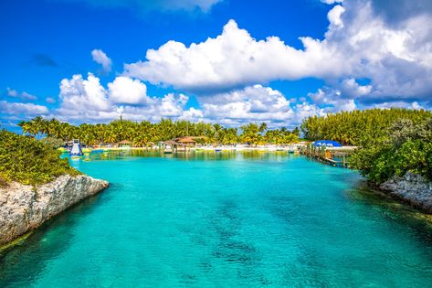 , Virtual Vacation, Rose Island, Swimming Pigs, Grand Bahama, Caribbean Carnival, Bahamas Cruise, Harbour Island, Nassau Bahamas, Cruise Destinations