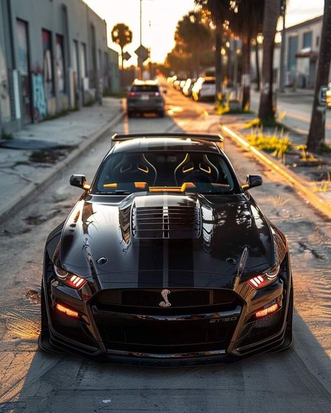 Mustang Shelby Gt 500, Sports Cars Mustang, Shelby Gt 500, Slammed Cars, Gt 500, Ford Mustang Car, Ford Roadster, Mustang Cobra, Shelby Gt