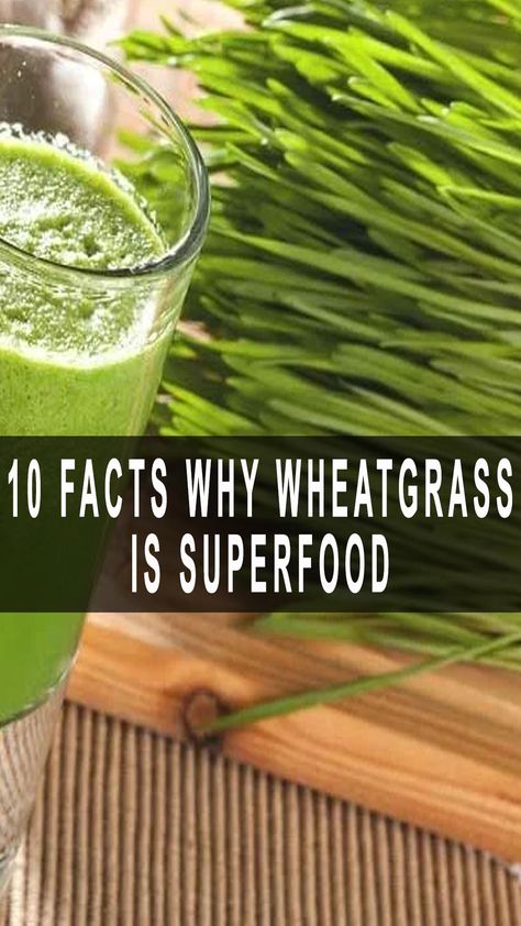 10 Facts Why Wheatgrass Is Superfood Wheat Grass Shots, Wheatgrass Powder, Improve Fertility, Diy Remedies, Cleanse Your Body, Wheat Grass, Workout Regimen, Body Systems, Improve Digestion