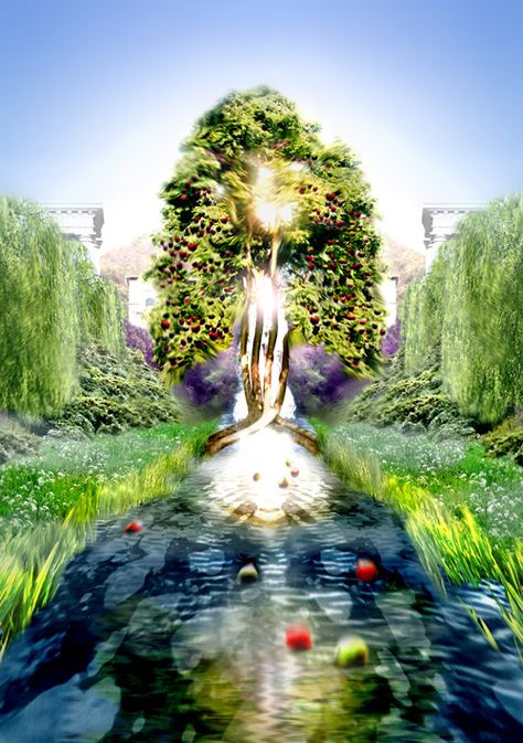 The River of Life River Of Life, Tree Of Life Artwork, Rivers Of Living Water, Revelation 22, Prophetic Art, Bible Study Lessons, Christian Pictures, Greatest Mysteries, Jesus Christ Images