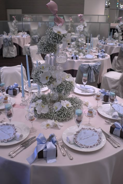 Light Blue And Silver Wedding Theme, Sweet 15 Themes, Quinceanera Winter Wonderland, Blue Party Themes, Baby Blue Quinceanera, Light Blue Quince, Cinderella Quinceanera Themes, Cinderella Sweet 16, French Themed Wedding