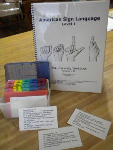 Sign Language For Toddlers, Asl Lessons, Simple Sign Language, Sign Language For Kids, Sign Language Lessons, Sign Language Phrases, Language Levels, Sign Language Interpreter, Sign Language Words