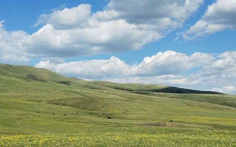 Wyoming Plains, Grassy Plains, Plains Landscape, Grassland Habitat, Great Plains, Nature Conservation, Northern Virginia, Sioux, Family Holiday