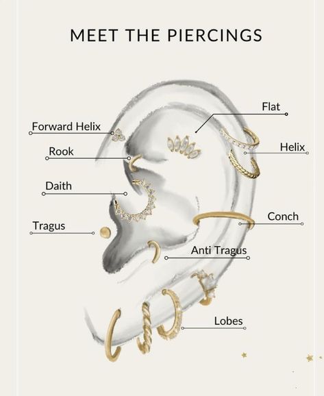 Ear Piercings Placement Chart, Ušný Piercing, Piercings Oor, Ear Piercing Names, Minimalist Ear Piercings, Unique Ear Piercings, Ear Peircings, Ear Piercings Chart, Piercing Chart