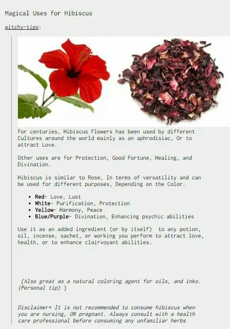 Hibiscus Herb Magic, Hibiscus Flower Witchcraft, Magical Properties Of Hibiscus, Raspberry Leaf Witchcraft, Hibiscus Spiritual Benefits, Hibiscus Flower Magical Properties, Hibiscus Witchcraft, Hibiscus Magical Properties, Flower Spells