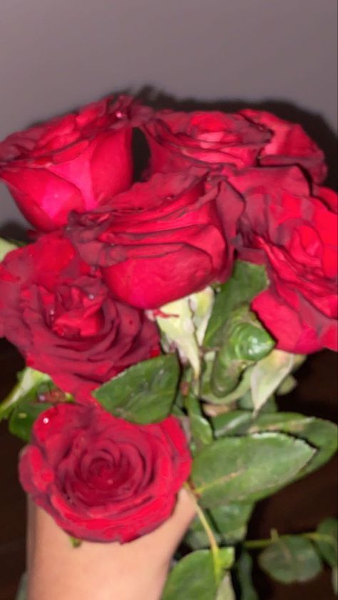 Birthday Roses Aesthetic, Rose In Hand Snapchat, Bouquet Snapchat, Flower Gift Snapchat Story, Rosé Snapchat, Rose In Hand, Awsome Pictures, Rose Flower Photos, Rose Flower Pictures