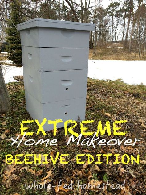 Wondering how to repair and paint old, used bee equipment? This is for you! One thing at the top of our spring to-do list was a beehive overhaul. My dad raised bees when I was young, so we were lucky to inherit a lot of his old equipment, including some hive boxes that needed a … Bee Equipment, Drone Bee, Bee Hive Plans, Beekeeping For Beginners, Raising Bees, Beekeeping Equipment, Bee Hives, Bee Boxes, Bee Farm