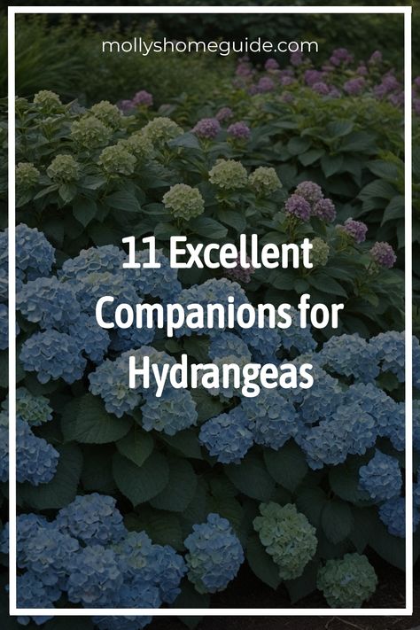 Looking to enhance the beauty of your hydrangea shrubs? Discover the best companion plants for hydrangeas that will complement and elevate your garden space. From classic pairings to unique combinations, find out what to plant with hydrangeas to create a stunning display. Whether you are growing Endless Summer Hydrangeas or other varieties, explore the top plants to pair with hydrangeas for a flourishing and harmonious garden design. Hydrangea And Fern Garden, Plants For Garden Borders, Hydrangea Flower Bed Ideas, Ferns And Hydrangeas, Eclipse Bigleaf Hydrangea, Plant Combinations Garden, Hydrangea Companion Plants Front Yards, Best Time To Plant Hydrangeas, Hydrangea Limelight Combination