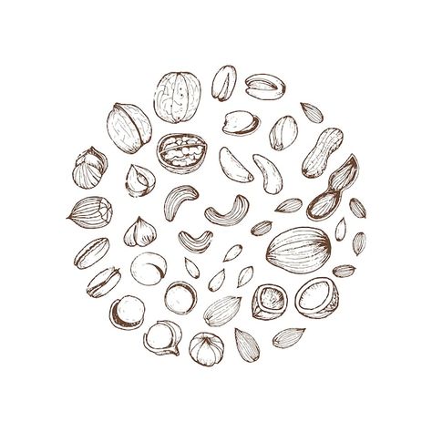 Oatmeal Drawing, Nuts Drawing, Nuts Illustration, Nuts Vector, Assorted Nuts, Texture Drawing, Pattern Design Inspiration, Simple Illustration, Logo Food