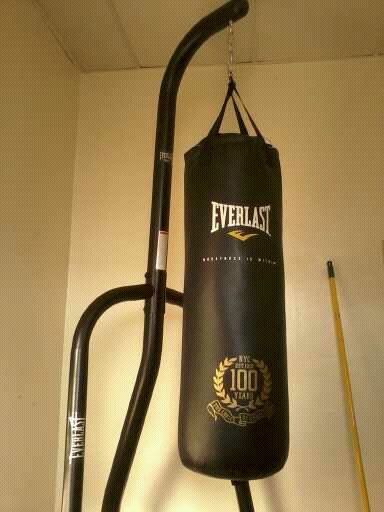 Everlast punching bag Punching Bag In Room, Punching Bag Aesthetic, Dancer In The Dark, Boxing Bag, Martial Arts Boxing, Boxing Bags, Pink Fish, Heavy Bags, Anime Crafts