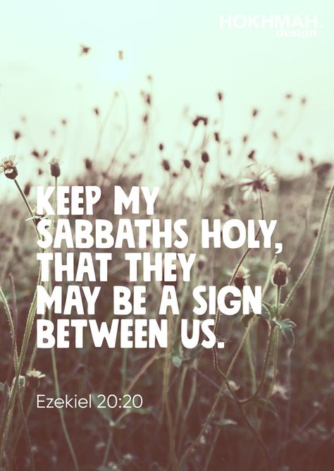 Sabbath Bible Verse, Sabbath Verses, Happy Sabbath Adventist, 2024 Habits, Prayer Vision Board, Happy Sabbath Quotes, Biblical Feasts, Sabbath Quotes, Bible Study Materials