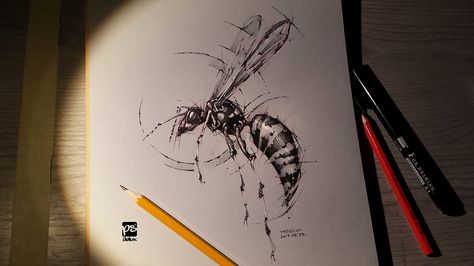 wasp, psdelux ... on ArtStation at https://www.artstation.com/artwork/qdL1z Wasp Tattoo, Insect Art, Ink Drawings, Animal Sketches, A Pencil, Painted Paper, A Drawing, Pencil Art, Pencil Drawing