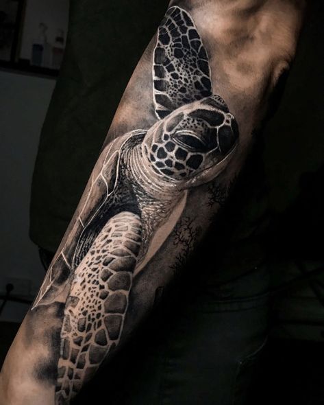 Realistic Turtle Tattoo Designs, Sea Turtle Shoulder Tattoo, Sea Turtle Tattoo Men, Ocean Creature Tattoo, Turtle Arm Tattoo, Animal Half Sleeve Tattoo, Turtle Tattoo Sleeve, Sea Turtle Tattoo For Men, Turtle Tattoo Realistic