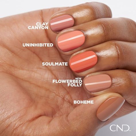 CND on Instagram: “Want to see how our new shade, Flowerbed Folly, compares to the rest of the shades in your color portfolio? We bring you, Swatch and See!…” Cnd Shellac Colors, Cnd Nail Polish, Shellac Nails Fall, Shellac Nail Colors, Cnd Colours, Cnd Shellac Nails, Kiara Sky Gel Polish, Shellac Nail Art, Shellac Colors