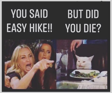 Hikers gonna hike #exercise #funnymemes #hiking #hikingmemes #walking Hiking Humor Hilarious, Hiking Meme, Hiking Humor, Funny Cringe, Landscaping Quotes, Walking Exercise, Workout Memes, One With Nature, Take A Hike