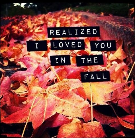 Realized I loved you in the fall. Fall Taylor Swift, December Lyrics, Speak Now Taylor Swift, Back To December, Leaves Photography, I Carry Your Heart, Love You Babe, Dark Days, Taylor Lyrics