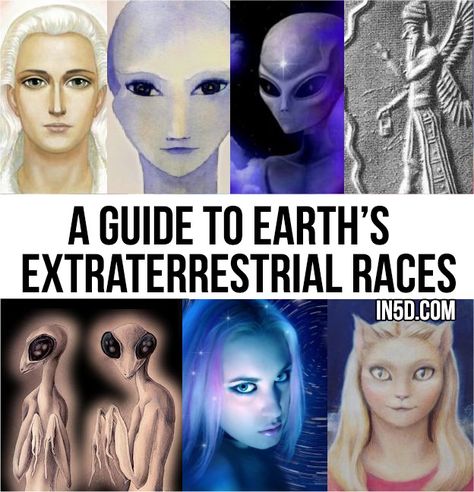 Alien Facts, Types Of Aliens, Alien Species, Ancient Astronaut, Arte Alien, The Boogeyman, Aliens And Ufos, Alien Races, Ancient Egyptian Art