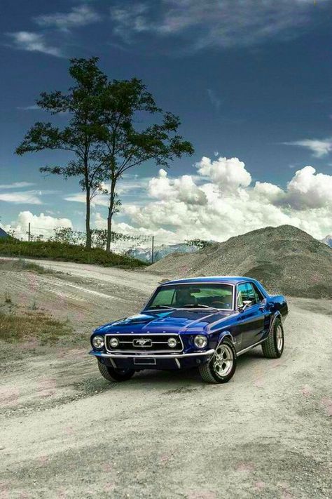 Dirt Road, Muscle Car, Mustang, Road, Cars, Blue