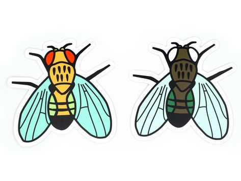 Fruit Fly Vinyl Stickers -- Drosophila melanogaster – Set of 2 Science Stickers | Biology Decal | Genetics | Gift for scientist or biologist https://etsy.me/2Zm8lCf